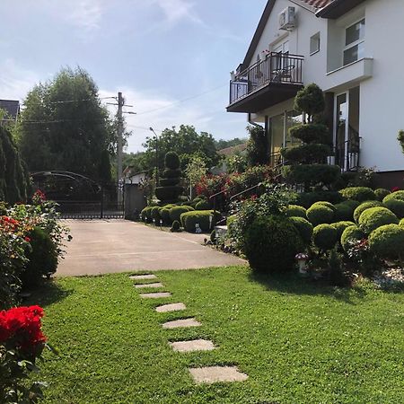 Apartment Vila Mm Srce Vrdnik Ngoại thất bức ảnh