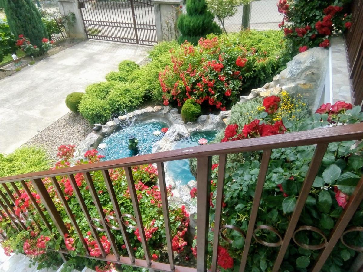 Apartment Vila Mm Srce Vrdnik Ngoại thất bức ảnh