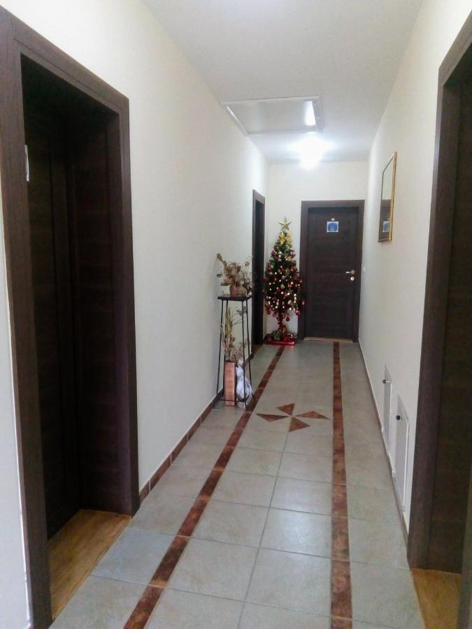 Apartment Vila Mm Srce Vrdnik Ngoại thất bức ảnh