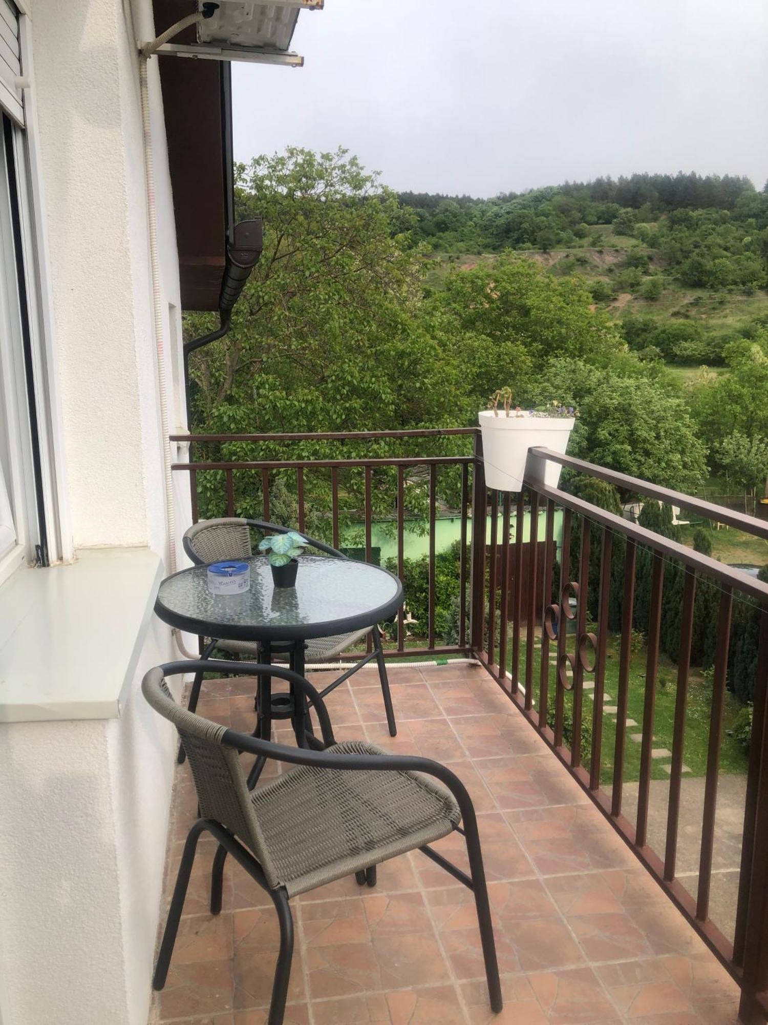 Apartment Vila Mm Srce Vrdnik Ngoại thất bức ảnh