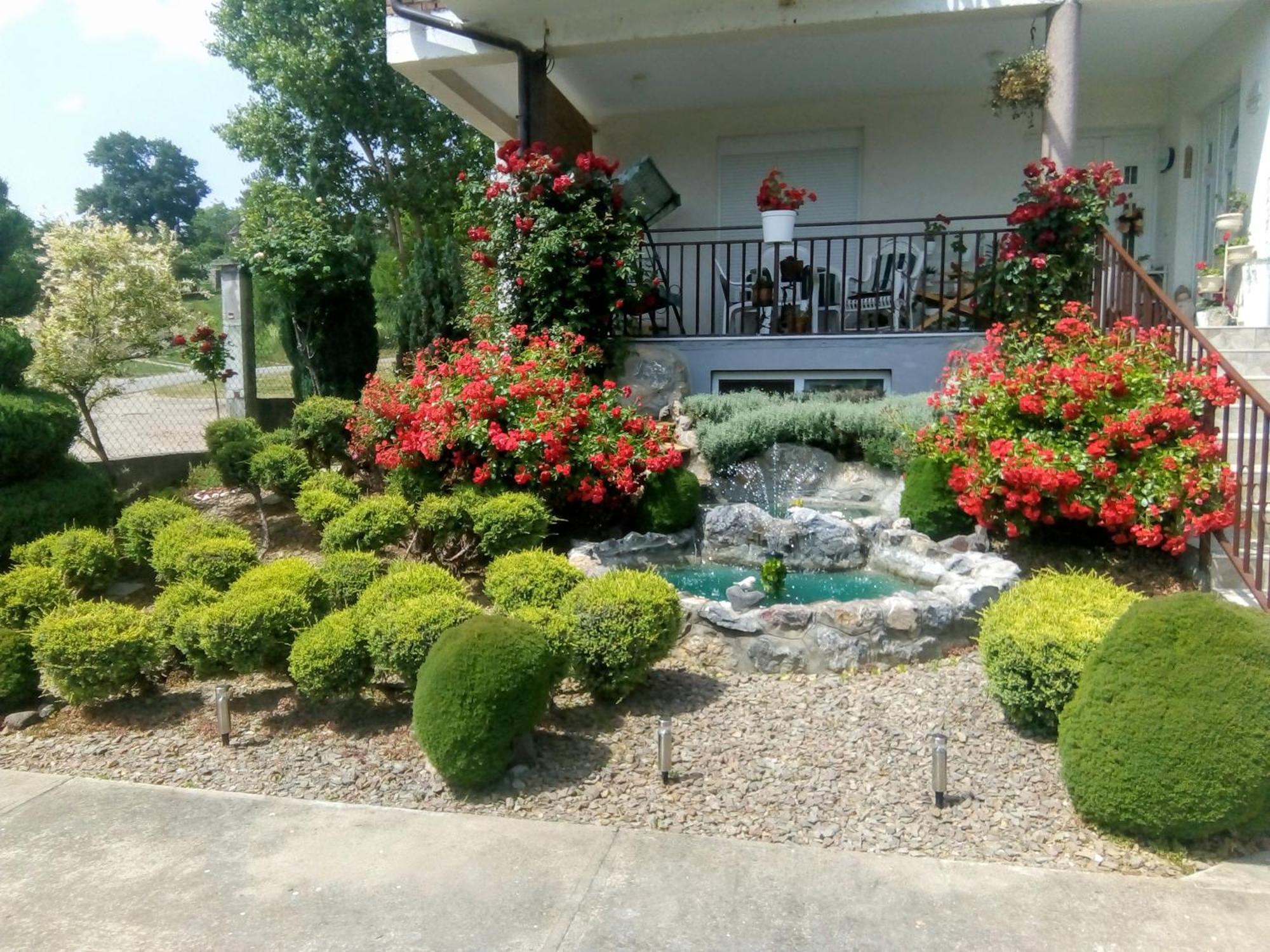 Apartment Vila Mm Srce Vrdnik Ngoại thất bức ảnh