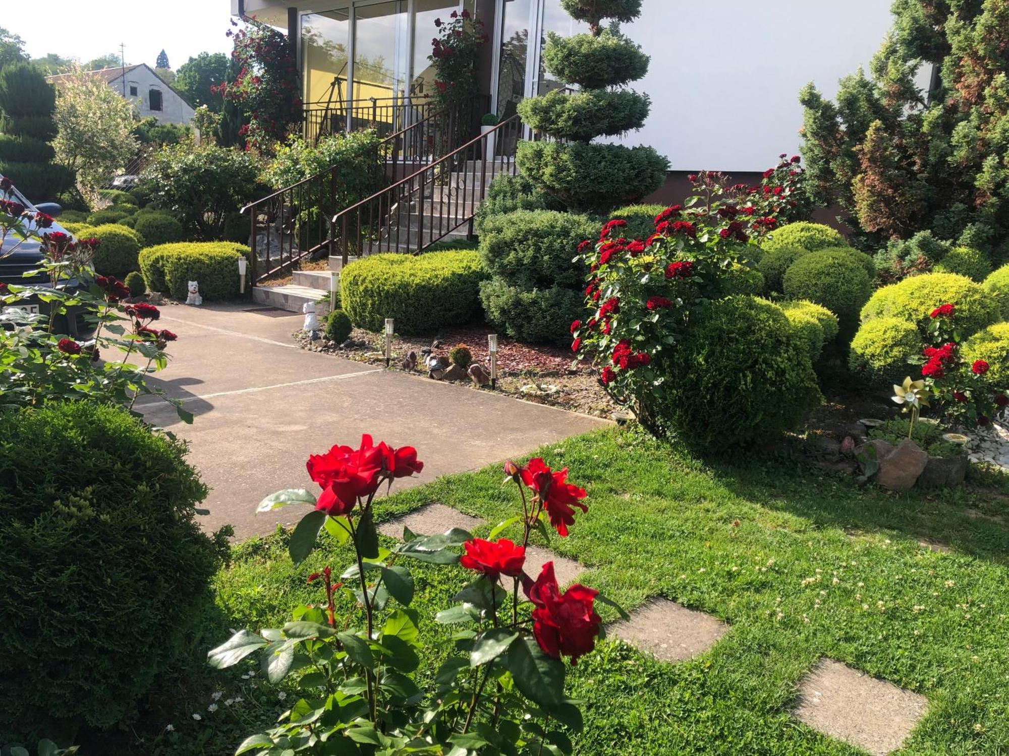Apartment Vila Mm Srce Vrdnik Ngoại thất bức ảnh
