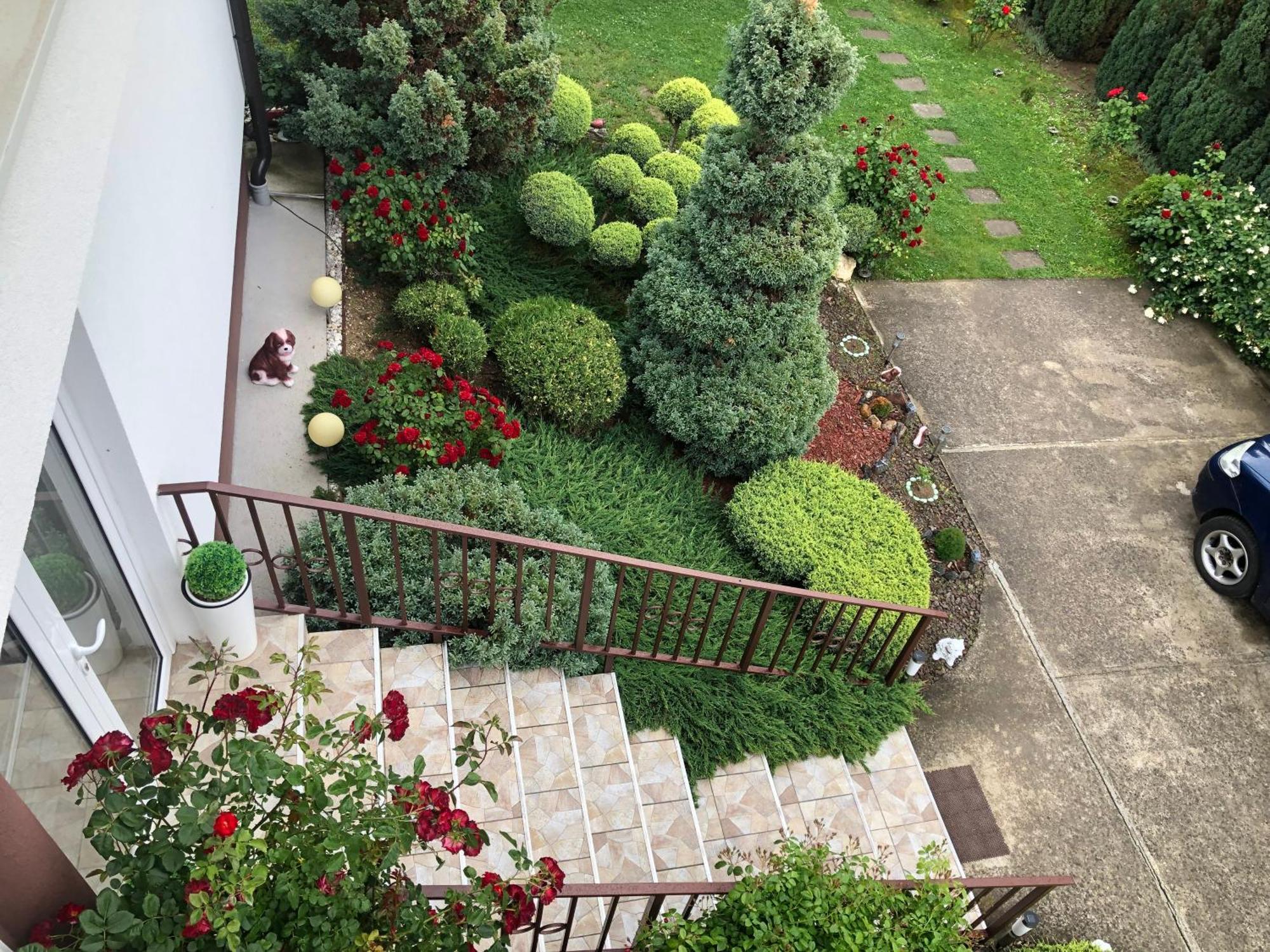 Apartment Vila Mm Srce Vrdnik Ngoại thất bức ảnh