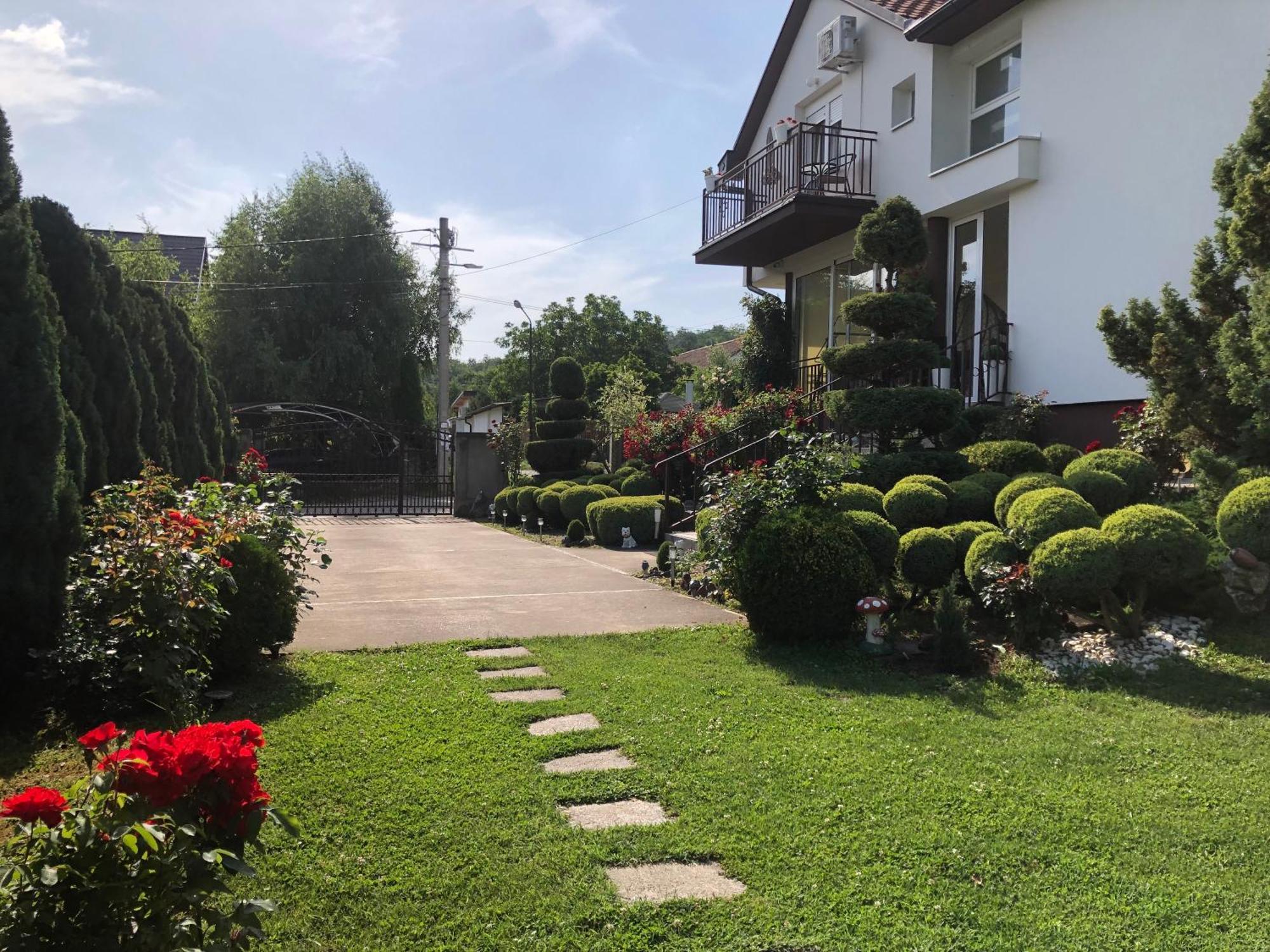 Apartment Vila Mm Srce Vrdnik Ngoại thất bức ảnh