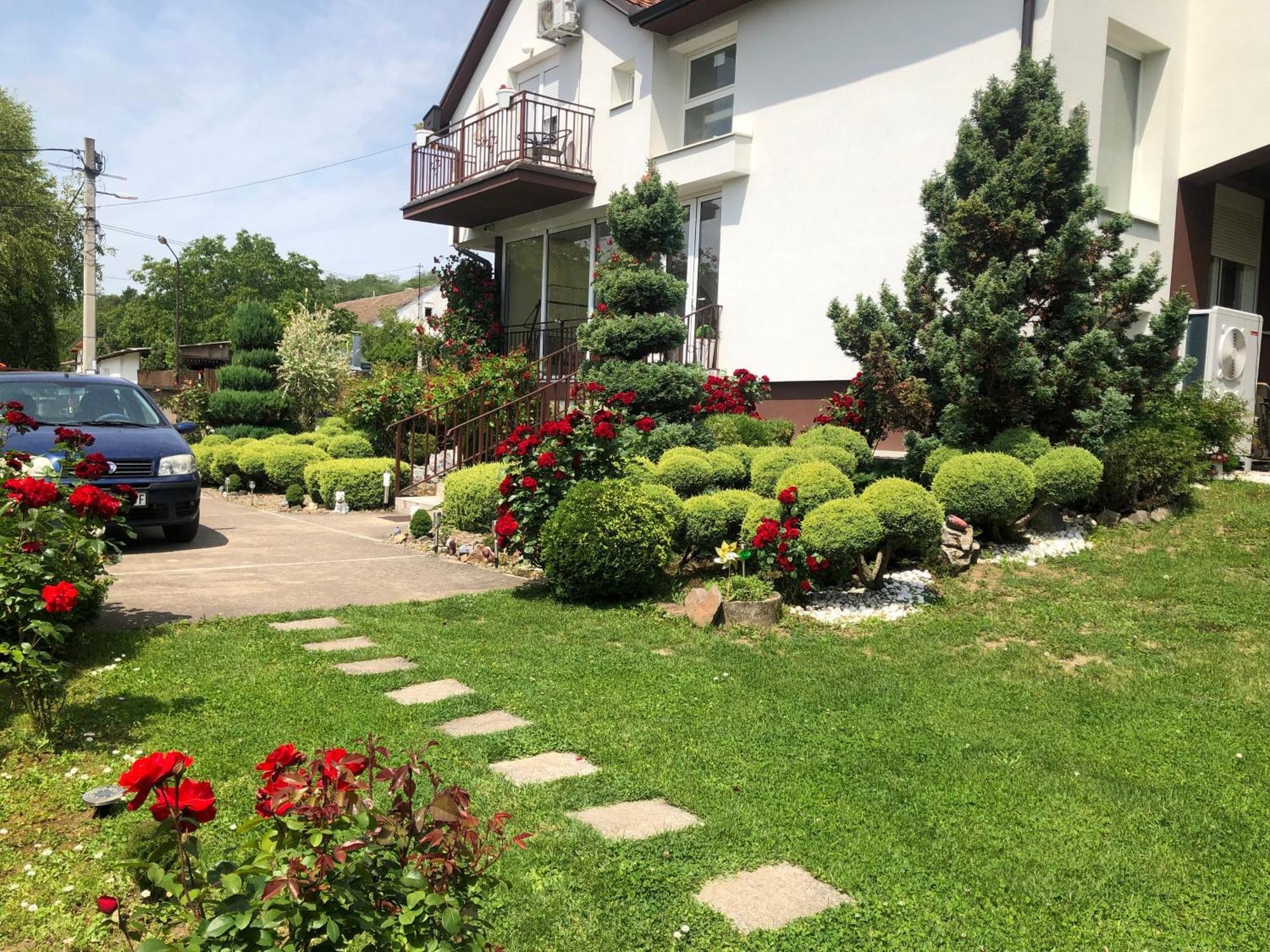 Apartment Vila Mm Srce Vrdnik Ngoại thất bức ảnh